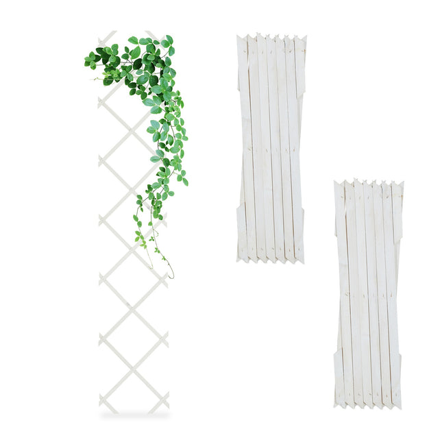 Uitschuifbare houten plantenrekset voor klimplanten