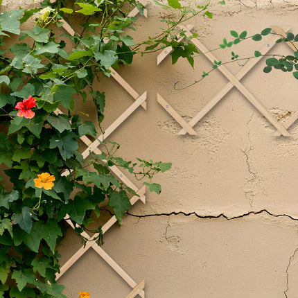 Extendable Wooden Plant Trellis Set for Climbing Plants