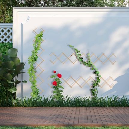 Extendable Wooden Plant Trellis Set for Climbing Plants