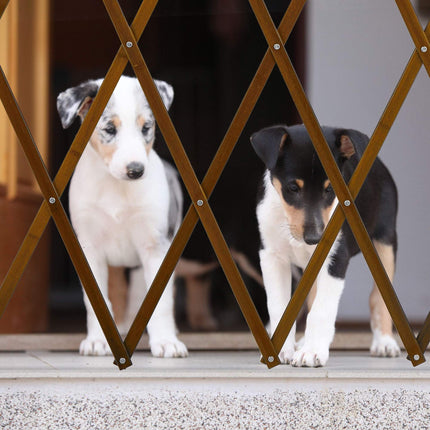 Extendable dog guard in brown