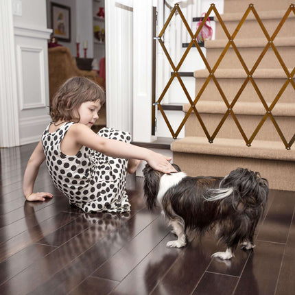 Extendable dog guard in brown