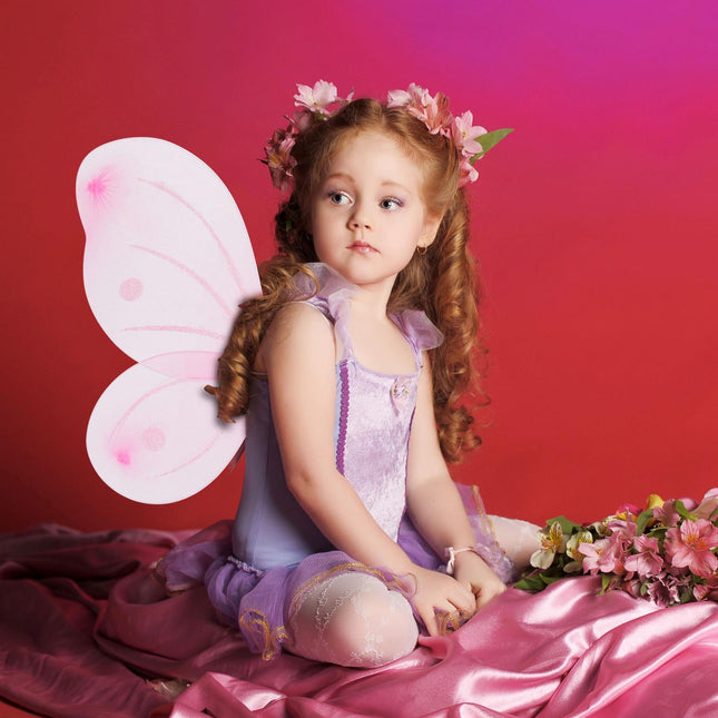 Fairy wings with wand