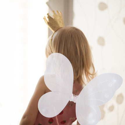 Fairy wings with wand