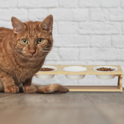 Feeding station for cats with 3 bowls