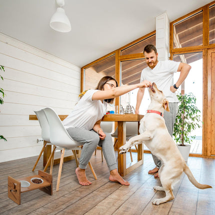 Feeding station for dogs adjustable in height