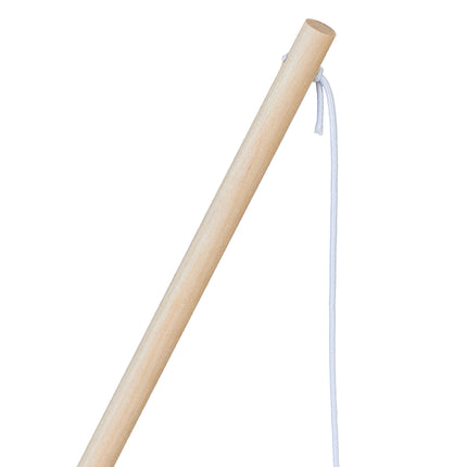 Fishing rod for cat, set of 5