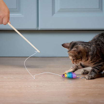Fishing rod for cat, set of 5