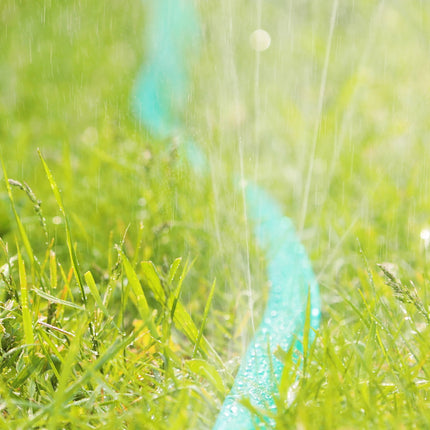 Flat irrigation hose 10 m