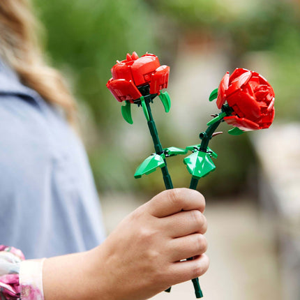 Flowers - Roses 40460