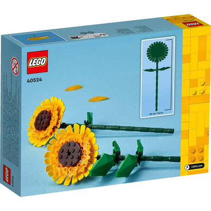 Flowers - Sunflowers 40524