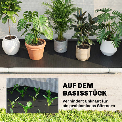 Foldable Greenhouse with PE Cover, 200 x 80 x 164 cm