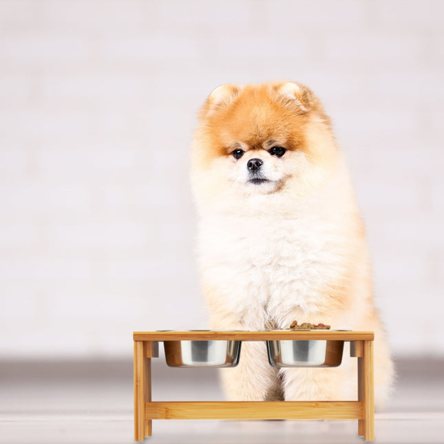 Food bowls for dogs