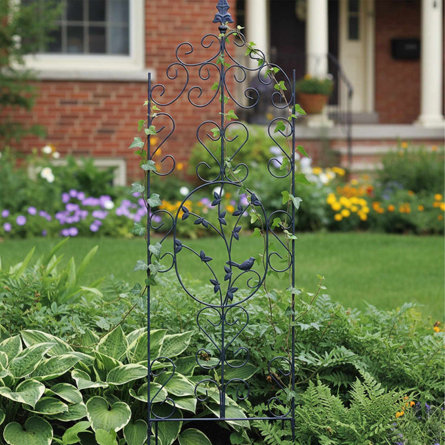 Free-Standing Metal Trellis for Climbing Plants
