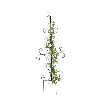 Freestanding Steel Garden Trellis for Climbing Plants