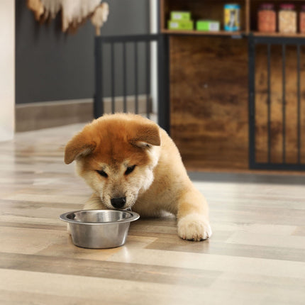 Furniture-style dog cage