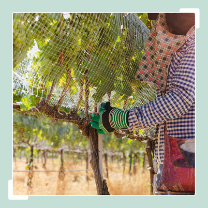 Galvanised Aviary Wire Mesh, 6.3 x 6.3 mm, Weather-Resistant