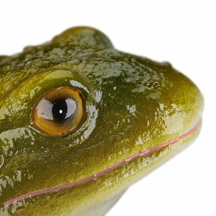 Garden Figure Frog Artificial Stone