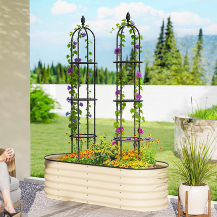 Garden Obelisk Trellis Set, 174 cm Steel, 2-Pack