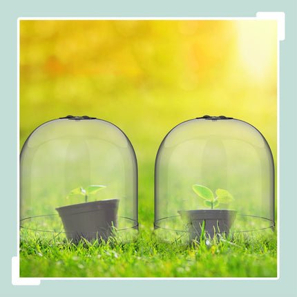 Garden Plant Cloches, Set of 10 – Pest & Weather Protection