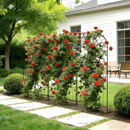Garden Rose Trellis, 2-Pack Steel 180 x 52.5 cm