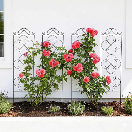 Garden Trellis Set of 4, Metal Climbing Plant Support