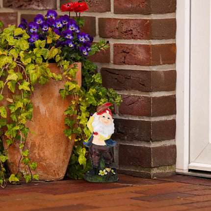 Garden gnome with ladybug