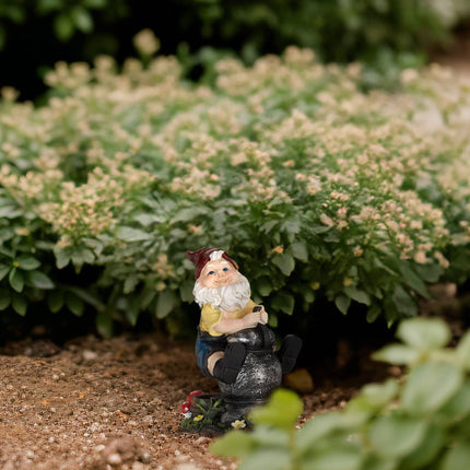 Garden gnome with lantern