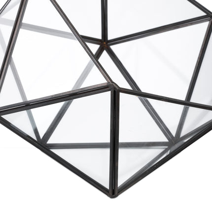 Geometric Glass Terrarium for Cacti and Succulents