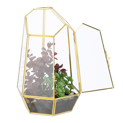 Geometric Glass Terrarium for Succulents & Air Plants