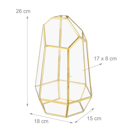 Geometric Glass Terrarium for Succulents & Air Plants