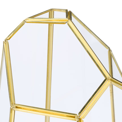 Geometric Glass Terrarium for Succulents & Air Plants