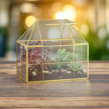 Glass Terrarium House for Succulents & Air Plants