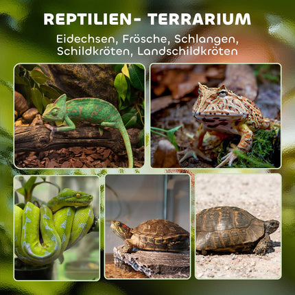 Glass Terrarium for Reptiles, Waterproof Base, Lock