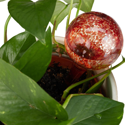 Glass water balls set of 4
