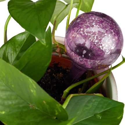 Glass water balls set of 4