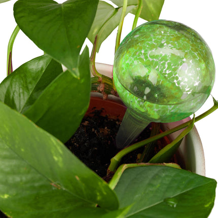 Glass water balls set of 4