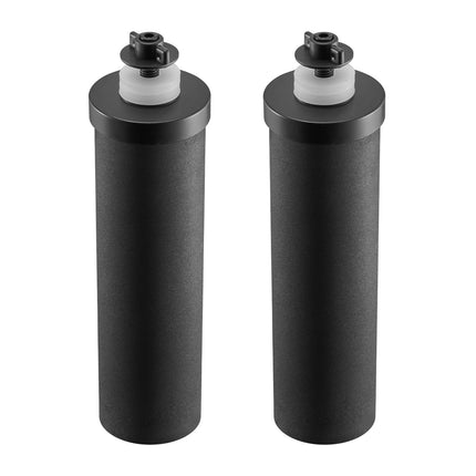 Gravity Water Filter Replacement, Coconut Carbon, 2-Pack