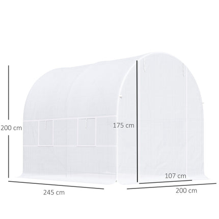 Greenhouse film for plants, 245x200x200 cm