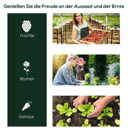 Cold frame Greenhouse with Door, Steel PVC, 200x100x80 cm