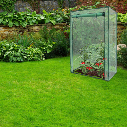 Greenhouse for tomatoes with sloping roof