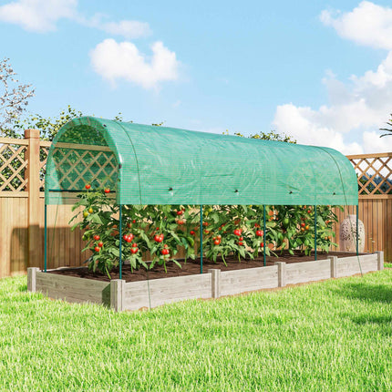 Greenhouse with Arch Roof, 400x120x170 cm, Steel Frame