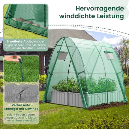 Greenhouse with PE Cover, Roll-Up Door & Windows, 181x181x200 cm