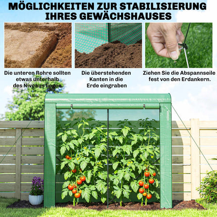 Greenhouse with Steel Frame and PE Cover, 200x75x188 cm