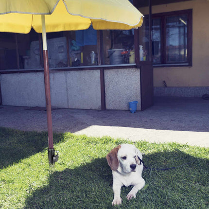 Ground sleeve for parasol