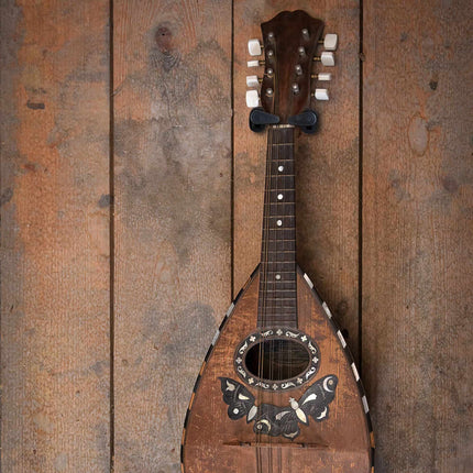 Guitar holder for the wall