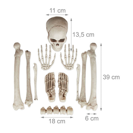 Halloween Skeleton Decoration Set – 12 Bones
