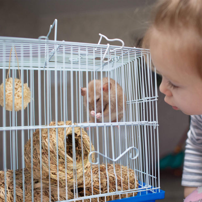 Hamster Accessoires Set 5 stuks