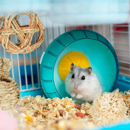 Hamster accessory set 7 pcs.