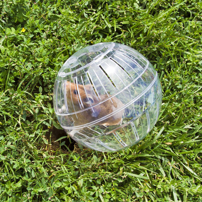 Hamsterbal transparant
