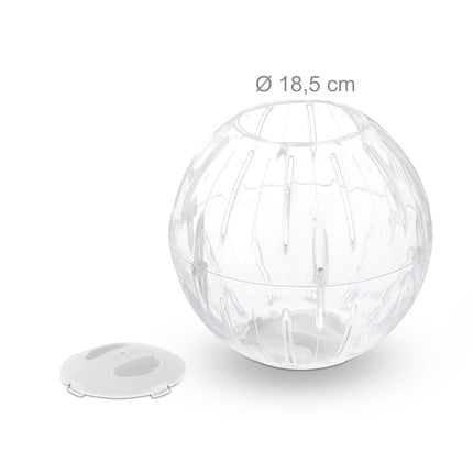 Hamster ball with white lid